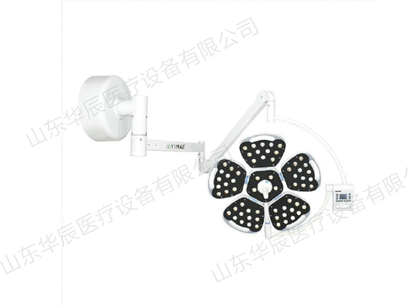 LED700花瓣豪华款(5瓣壁挂).jpg
