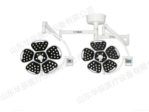 LED700 700花瓣豪华款(5+5)