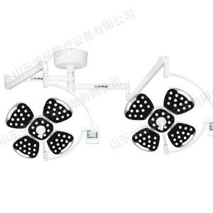 LED700 700花瓣豪华款(4+4)